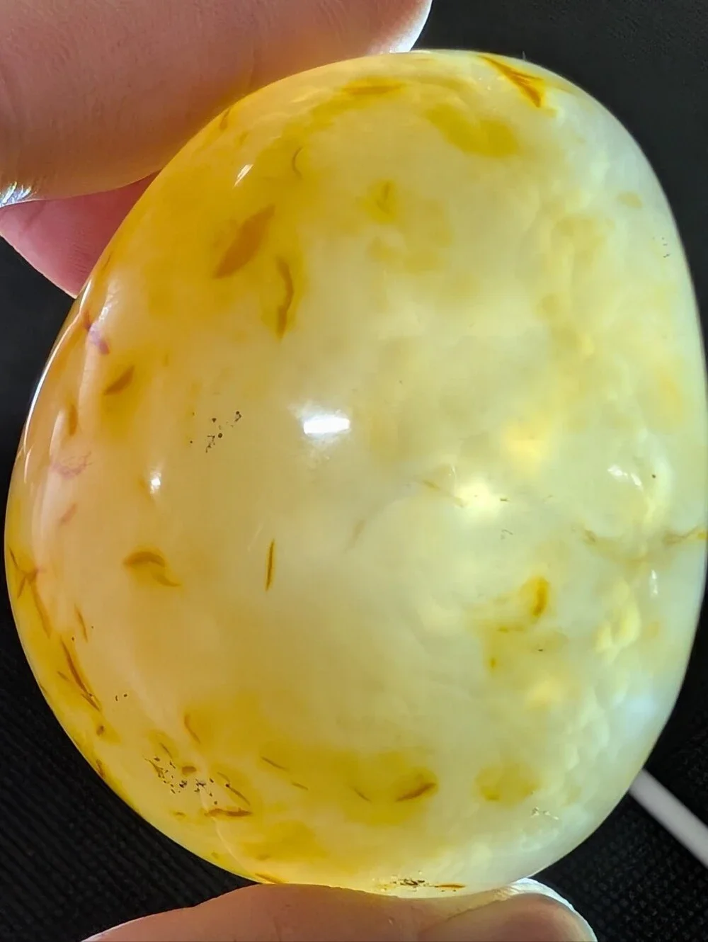 Brazilian Agate Geode Half